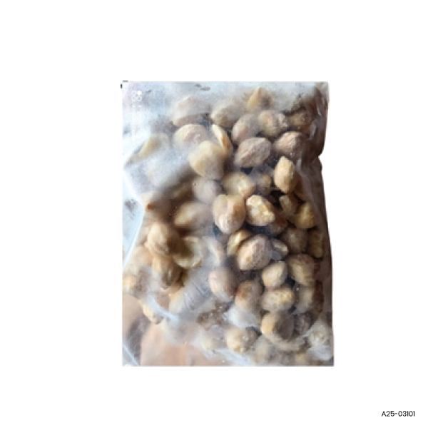 Candlenut (Buah Keras)